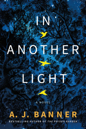 Review: In Another Light by A.J. Banner (audio)