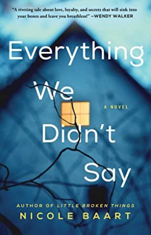 Blog Tour & Review: Everything We Didn’t Say by Nicole Baart (audio)