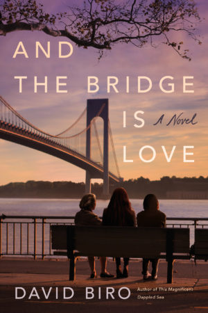 Review: And the Bridge is Love by David Biro