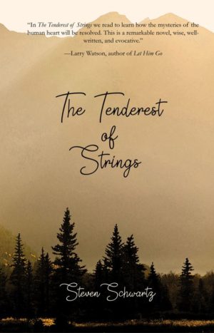 Blog Tour & Review: The Tenderest of Strings by Steven Schwartz