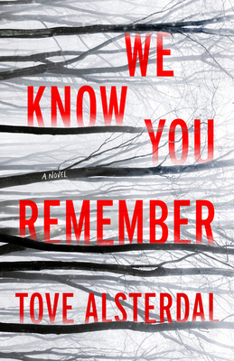 Review: We Know You Remember by Tove Alsterdal