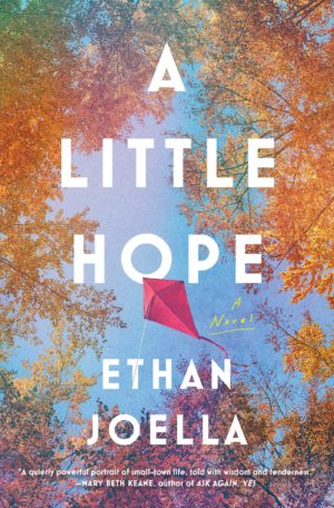 A Little Hope by Ethan Joella #bookreview #audiobook #bookclub