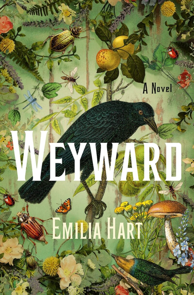 Weyward by Emilia Hart bookreview audiobook Always With a Book