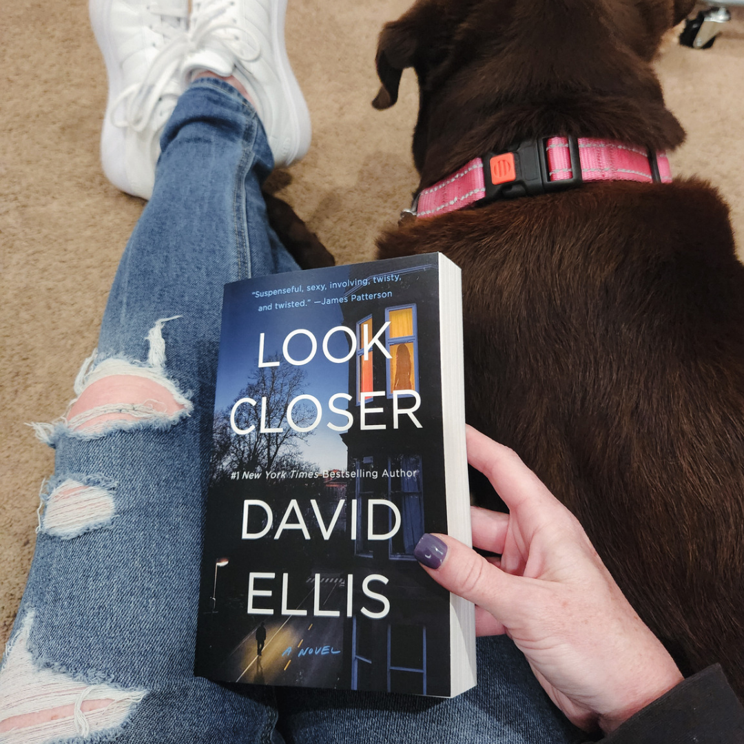 Look Closer by David Ellis #bookfeature #paperbackrelease
