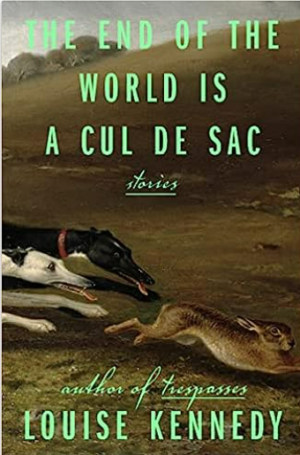 The End of the World is a Cul de Sac by Louise Kennedy #bookreview